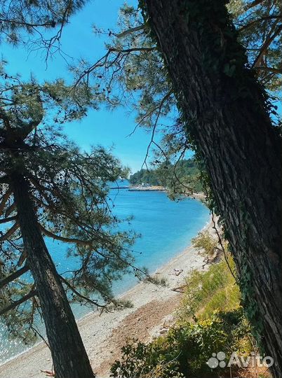 Тур с жд билетами в Анапу со станции Игра