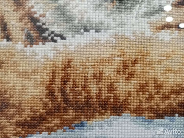 Бенгальские тигры