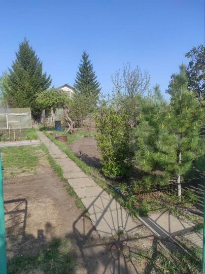 Дача 52,5 м² на участке 5,9 сот.