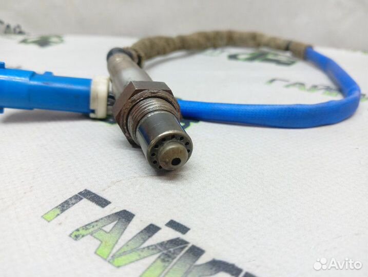 Датчик кислородный Ford Focus хэтчбек 5дв 1.6