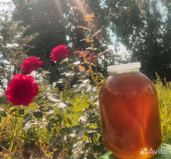 Мед с личной пасеки