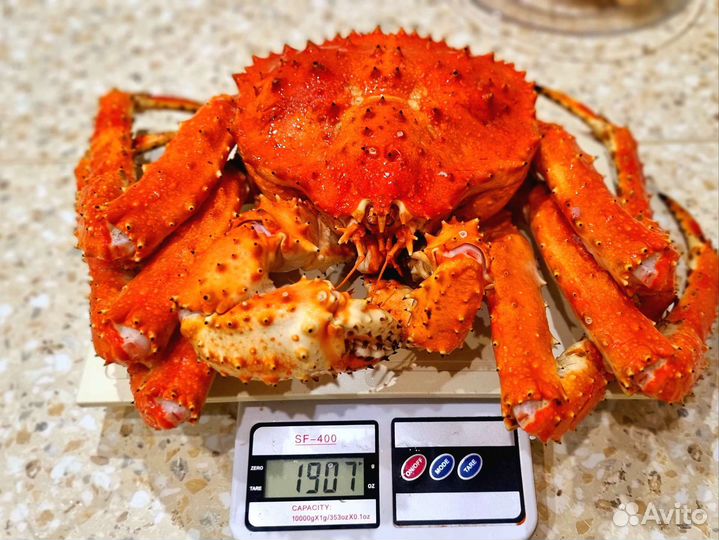 Краб Камчатский подарочный