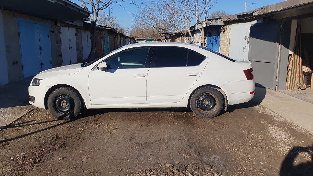 Skoda Octavia: фото владельца