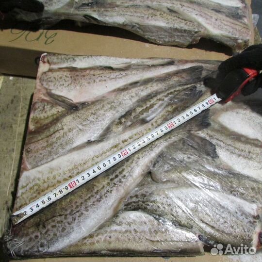 Минтай тресковый