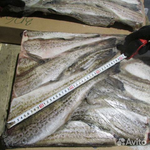 Минтай тресковый