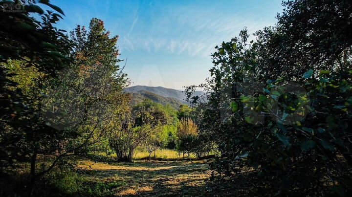 Участок 4,8 сот. (ИЖС)