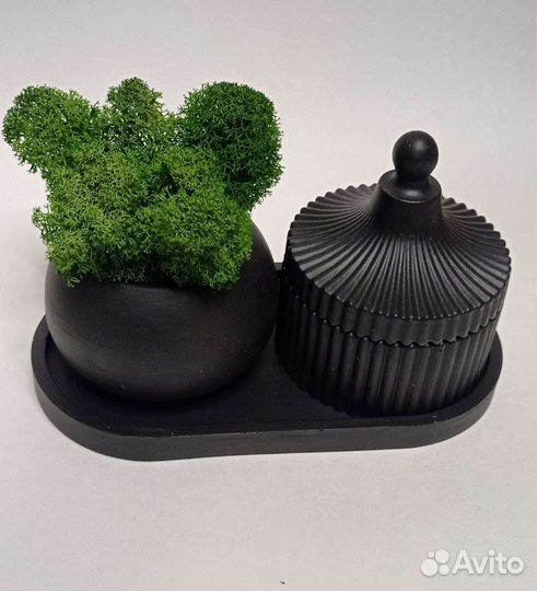 Декор со стабилизированным мхом