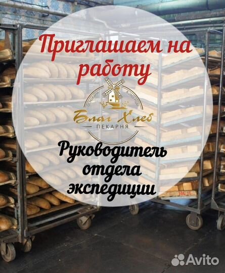 Руководитель отдела экспедиции