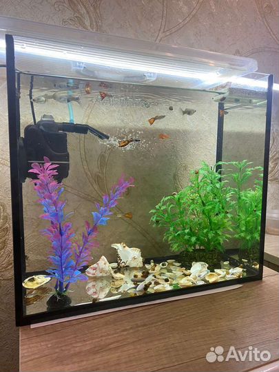 Аквариум 20л