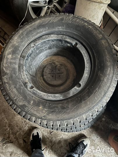 Lassa Wintus 2 R16C 204