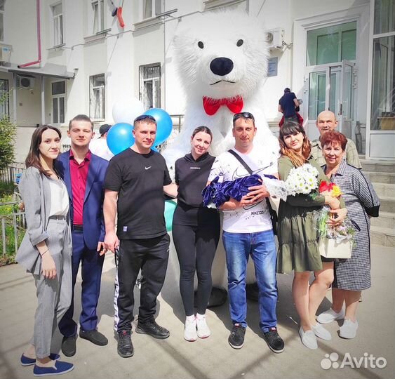 Белый мишка поздравление. Аниматор. Медведь