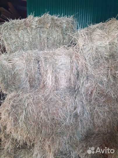 Сено в тюках