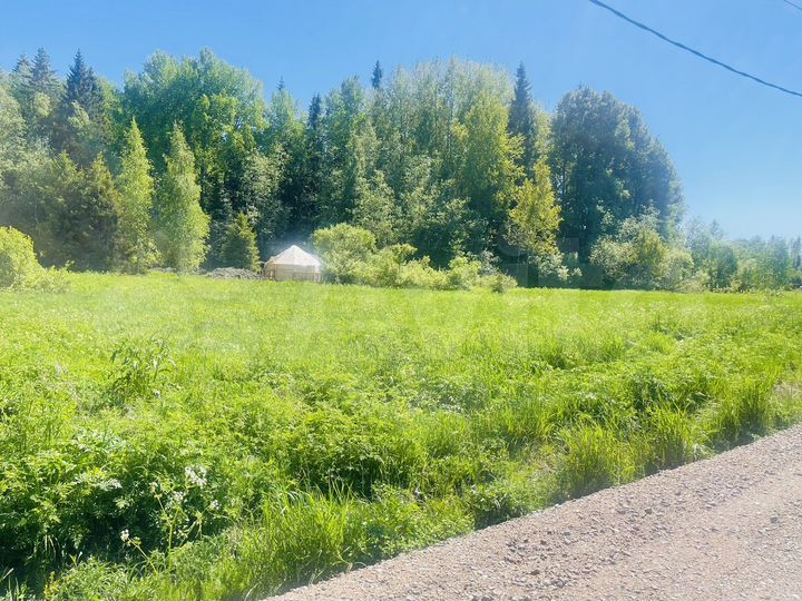 Участок 10 сот. (СНТ, ДНП)