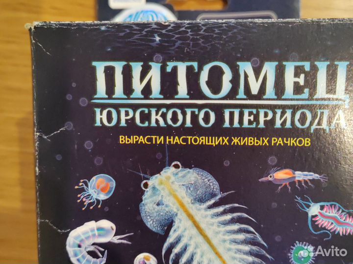 Питомец юрского периода