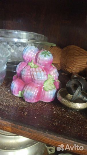 Масленка ежевика Дулево