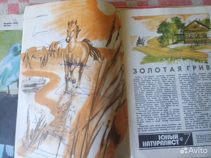 Журналы Юный натуралист