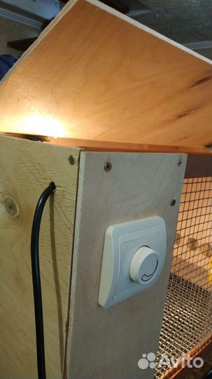 Брудер нового покаления-50 цыплят