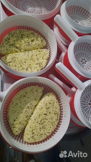 Молочные продукты