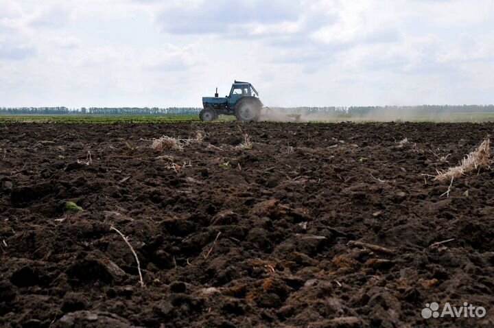 Без комьев чернозем Перегной готовый,камаз,газ,ЗИЛ