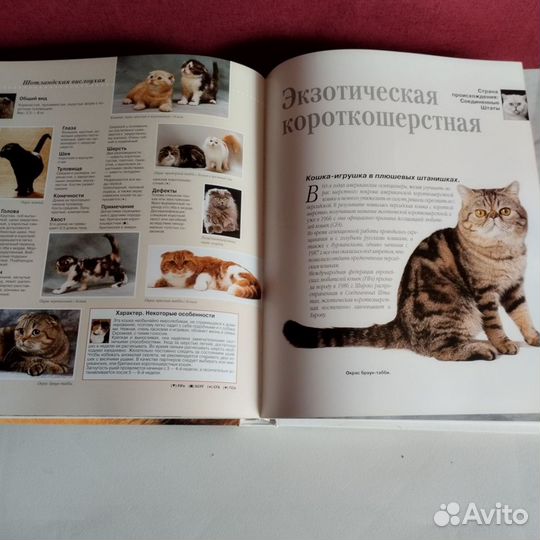 Кошки. Royal Canin. Энциклопедия