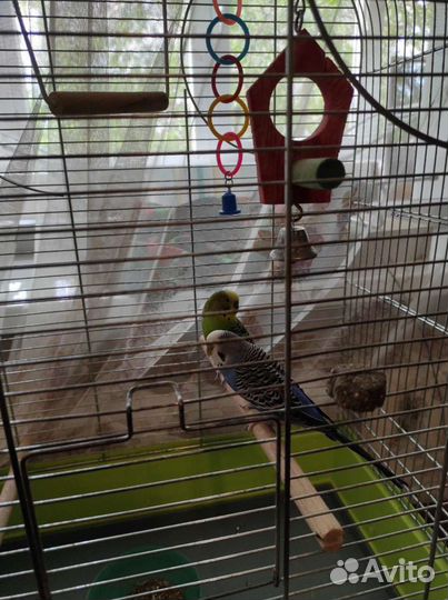 Большая просторная клетка для птиц