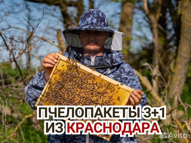 Пчелопакеты 3+1 из Краснодара