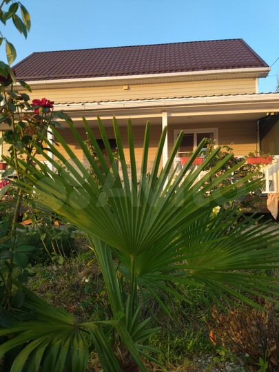 Дом 98,9 м² на участке 4 сот.