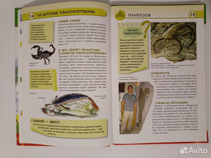 Вымершие животные - Энциклопедия