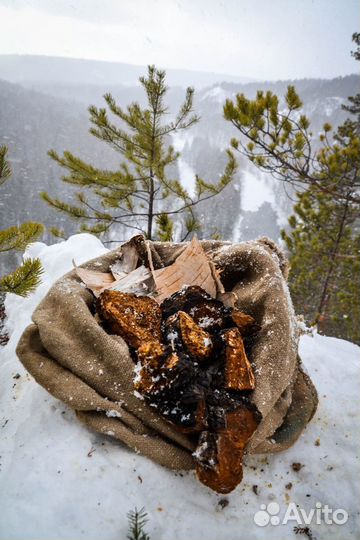 Чага Куском Красивая