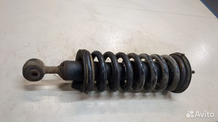 Амортизатор подвески Nissan Navara, 2009