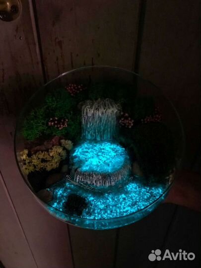 Флорариумы, моссариумы, суккуленты