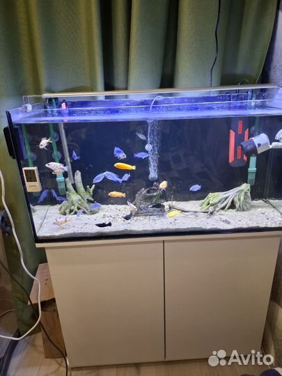 Аквариум