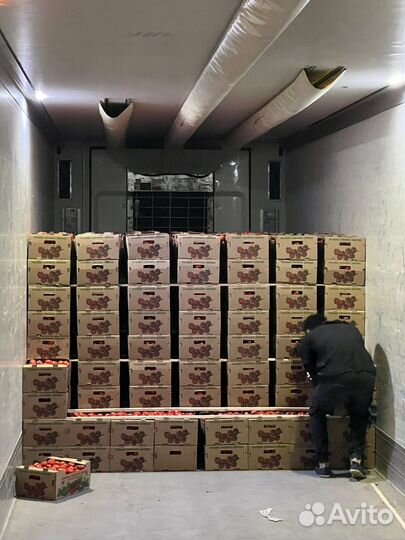 Помидоры сливка оптом