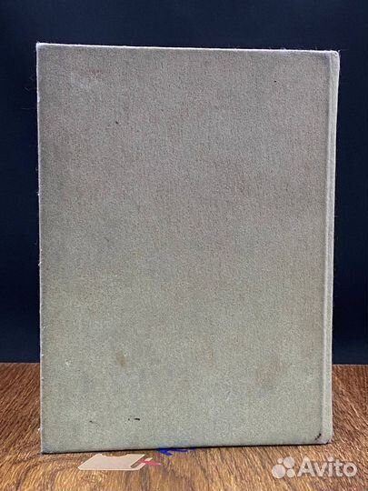 Мертвые молчат