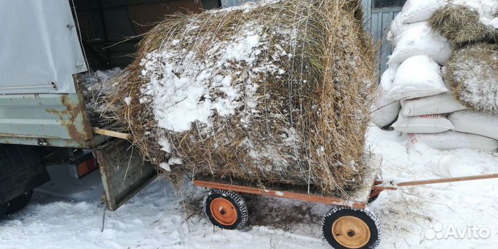 Тележки, тачки