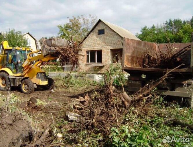 Спил деревьев. Благоустройство участка. Самовывоз