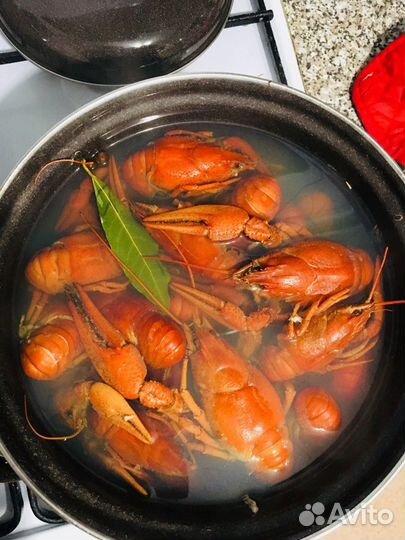 Живые раки, варёные раки
