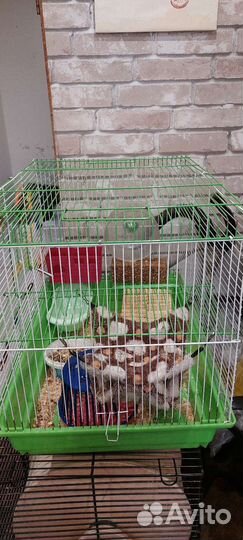 Клетка для грызунов 57*45 большая с хомяком