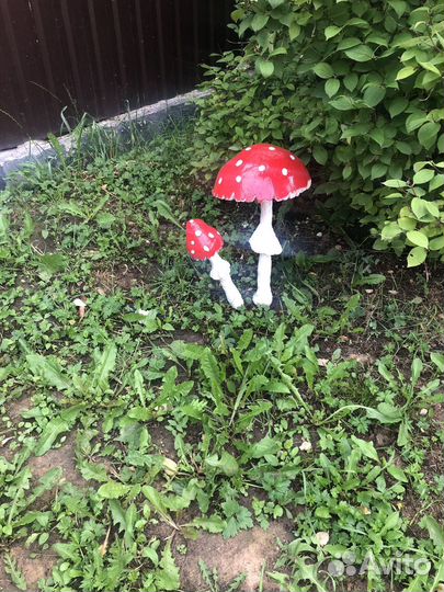 Продаются грибочки