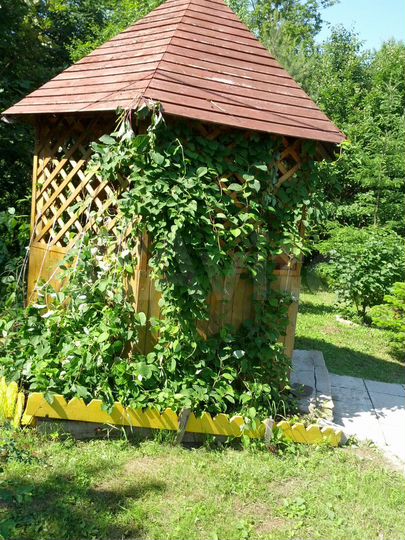 Дом 112 м² на участке 35 сот.