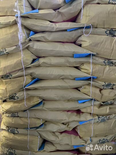 Семена подсолнечника