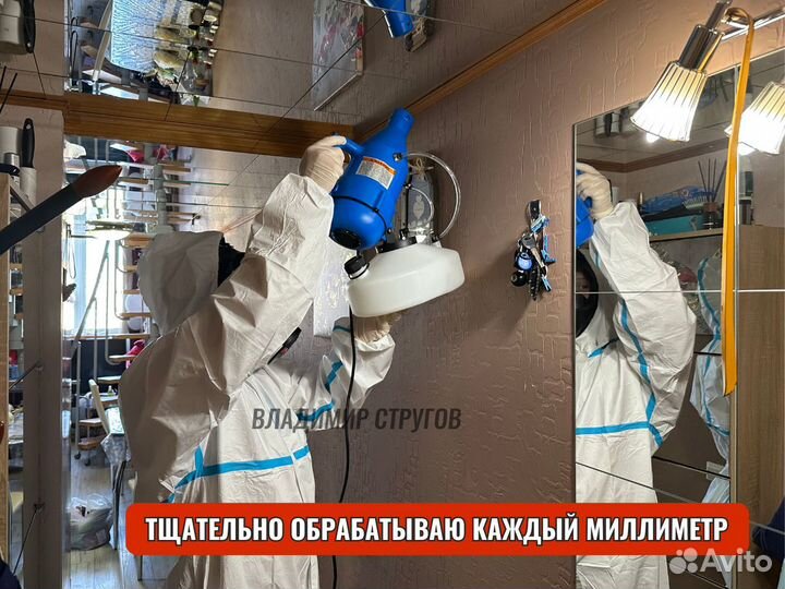 Уничтожение клопов, травить тараканов /Дезинфекция