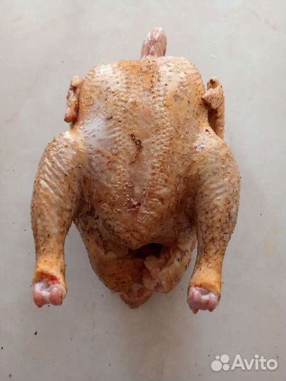 Бройлерные куры