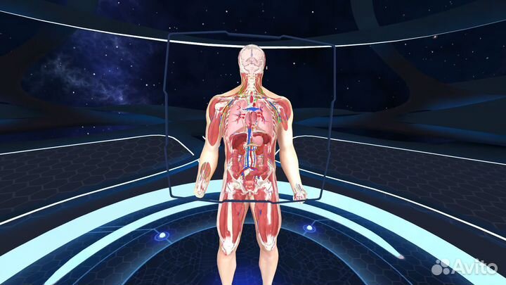 Human Anatomy VR2 PS5