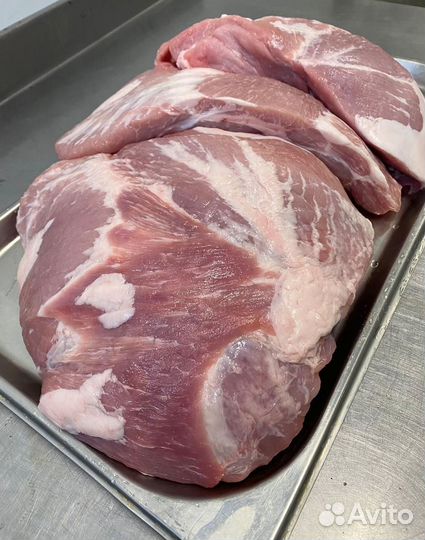 Мясо свинина