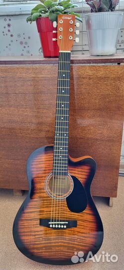 Акустическая гитара homage