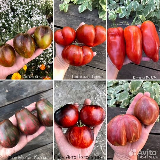 Семена Томат и Перец