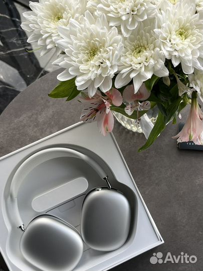 Apple airpods Max Silver