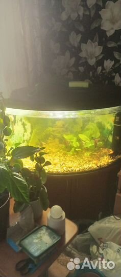 Аквариум 120 литров
