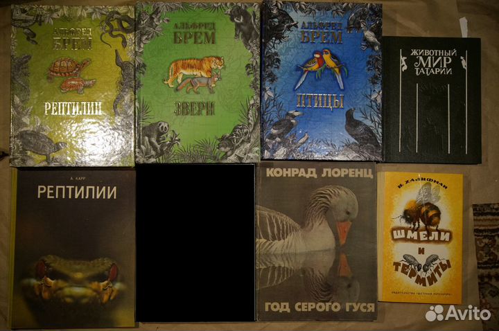 Охота, животные, путешествия